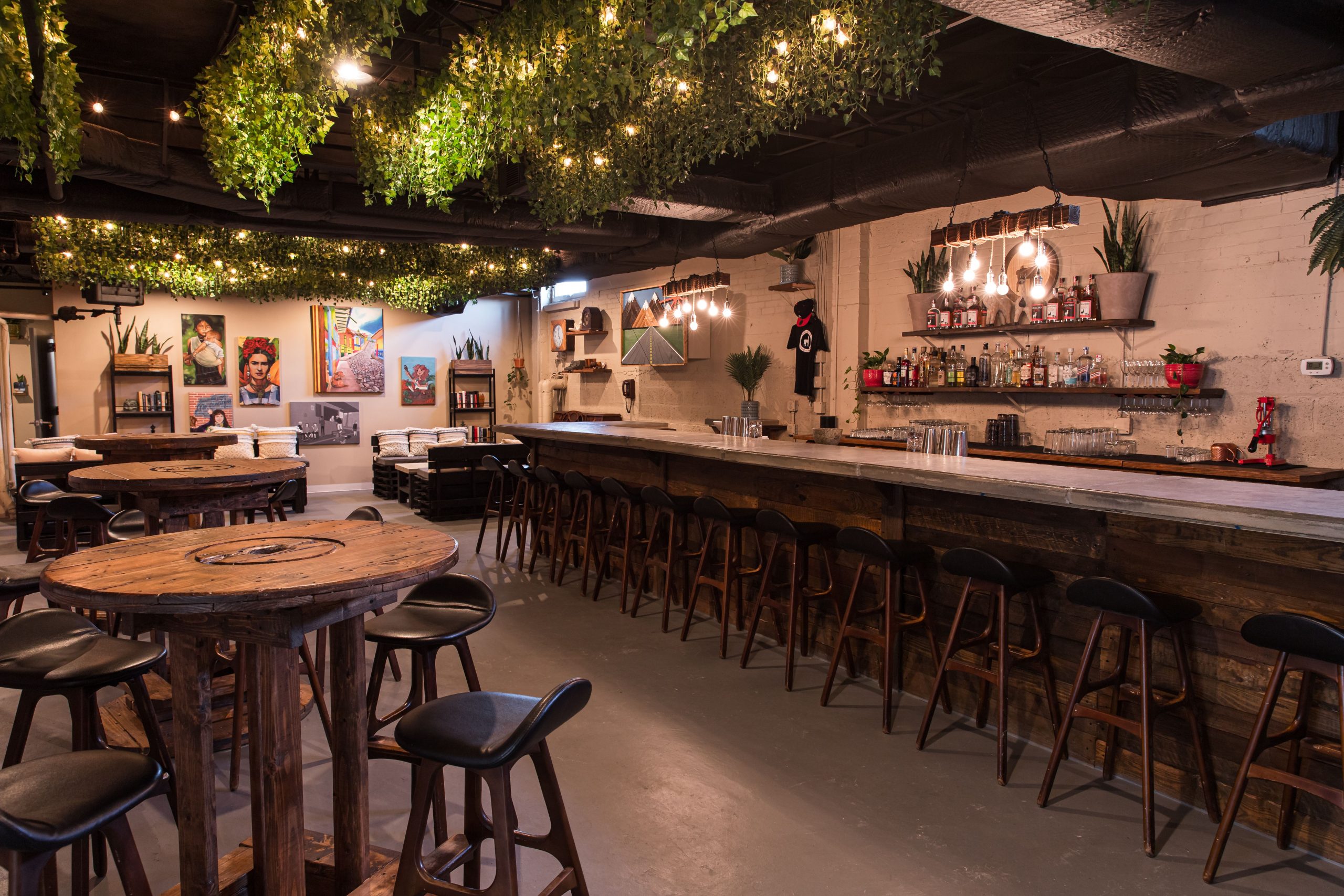 Every Sip is Spicy at Chacho, D.C.'s Llama-Obsessed Distillery Bar - Vimarsana News