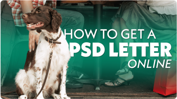 How To Get A PSD Letter Online? Discover The Best Site