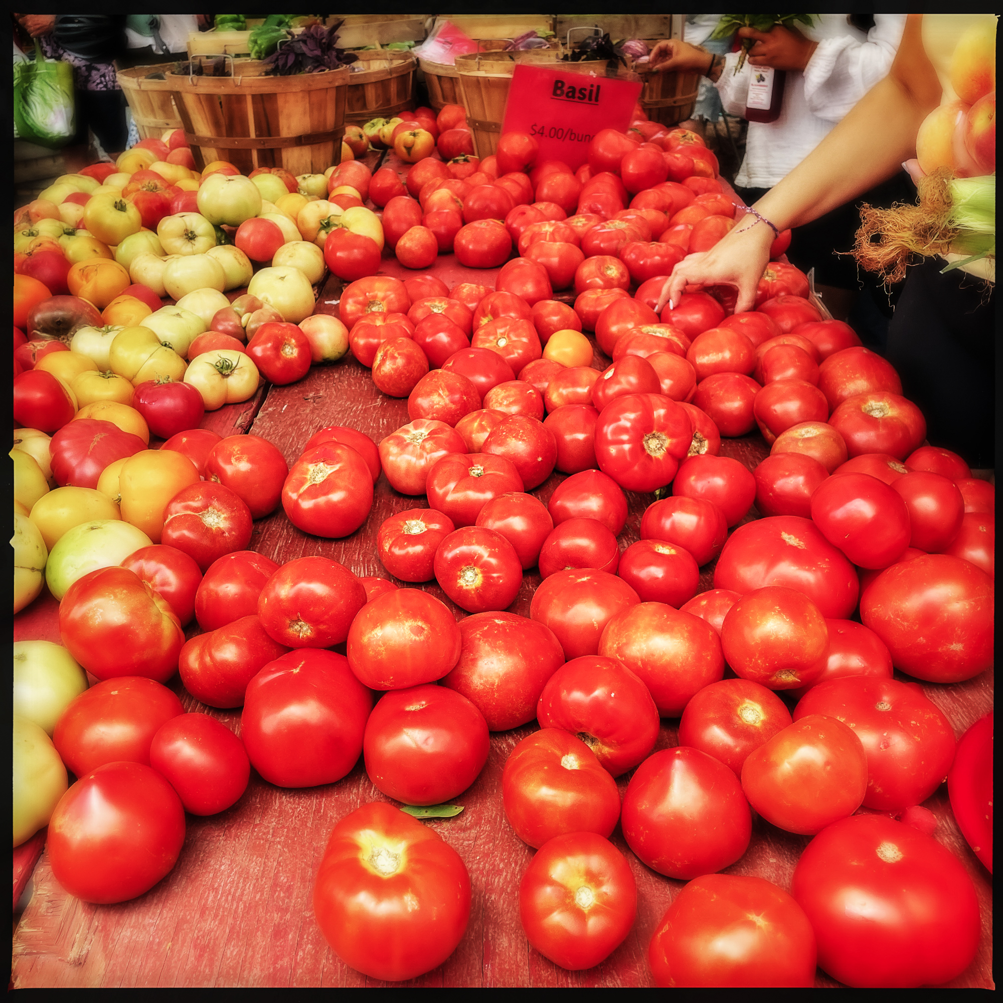 Oh, SNAP: How Program Cuts Are Impacting Food Access in the DMV