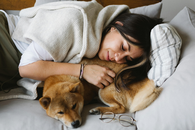Best Online Psychiatric Service Dog Training: Top Trusted Programs