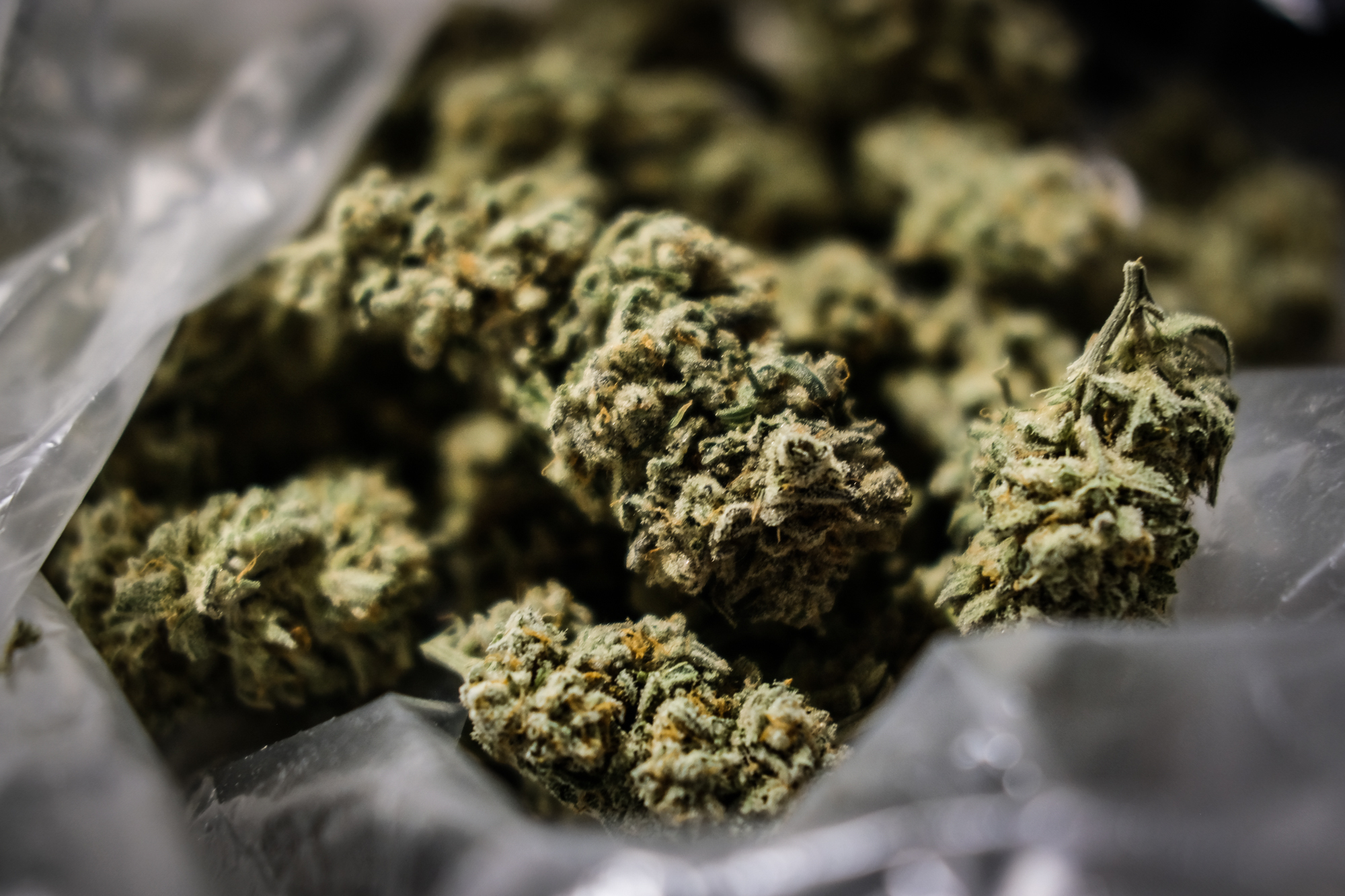 D.C. Cannabis Operators Say a New Tax Could Push a Fragile Market Over the Edge