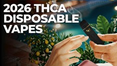 Best THCA Vapes in 2026: 6 Top THCa Pens for Everyday Use